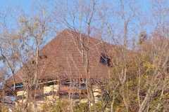 IMG-20250303-WA0029