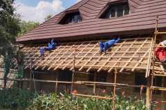 IMG-20250303-WA0037